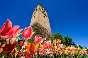 Carillon Tower in Spring