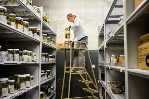 [Photo option: UW–Madison photo library, Zoology_snakes21_4507]