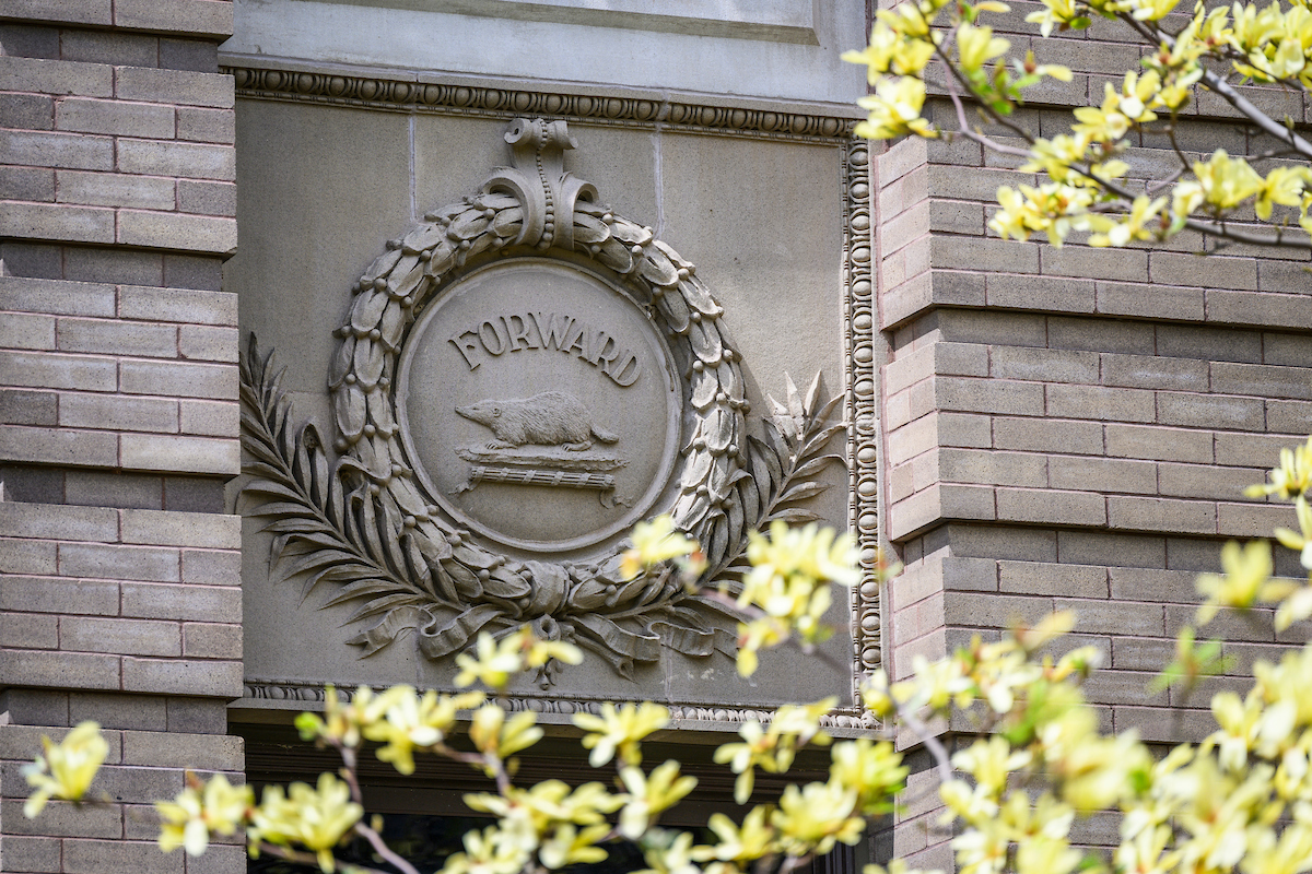 A yellow magnolia tree flowers in front of a Forward crest on the Education Building on a beautiful spring day at the University of Wisconsin–Madison on April 28, 2025. (Photo by Althea Dotzour / UW–Madison)
