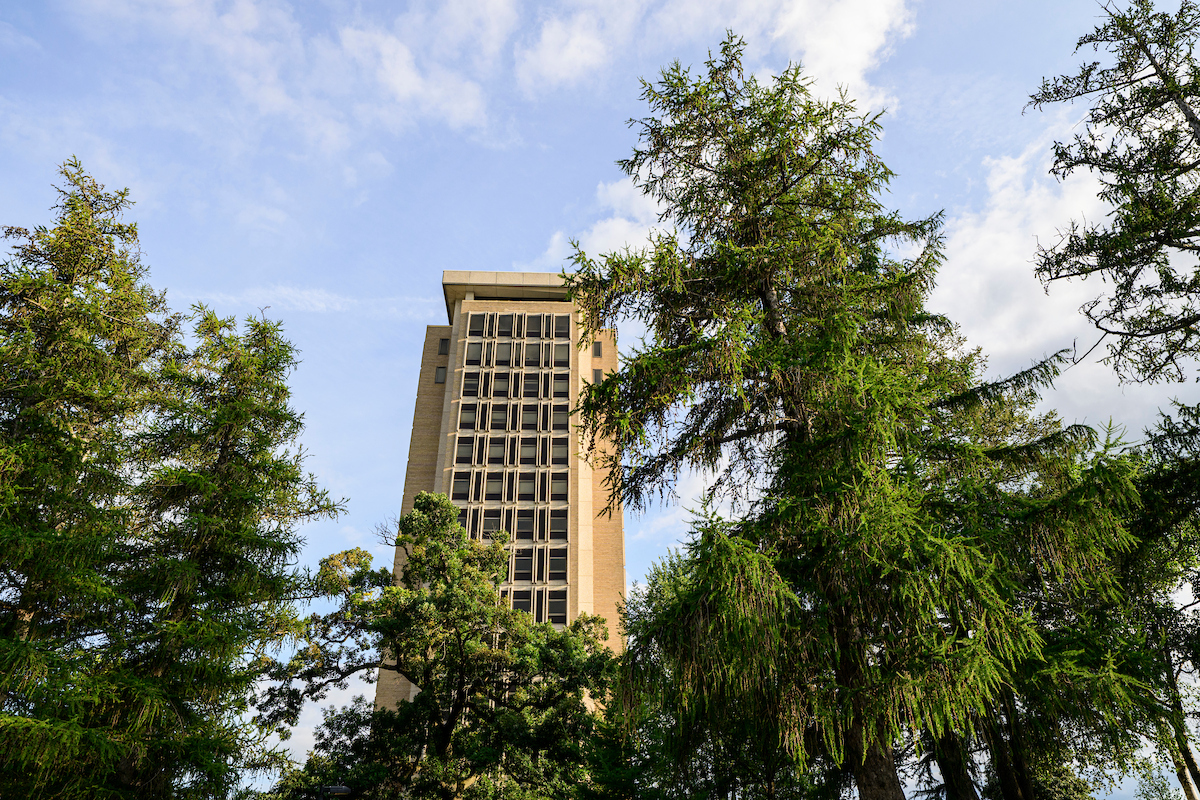 Trees surround Van Hise Hall during a summer evening at the University of Wisconsin–Madison on July 23, 2026. (Photo by Taylor Wolfram / UW–Madison)