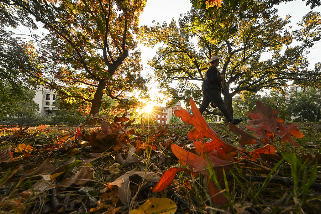 A person walks across fall leaves on the Lakeshore path