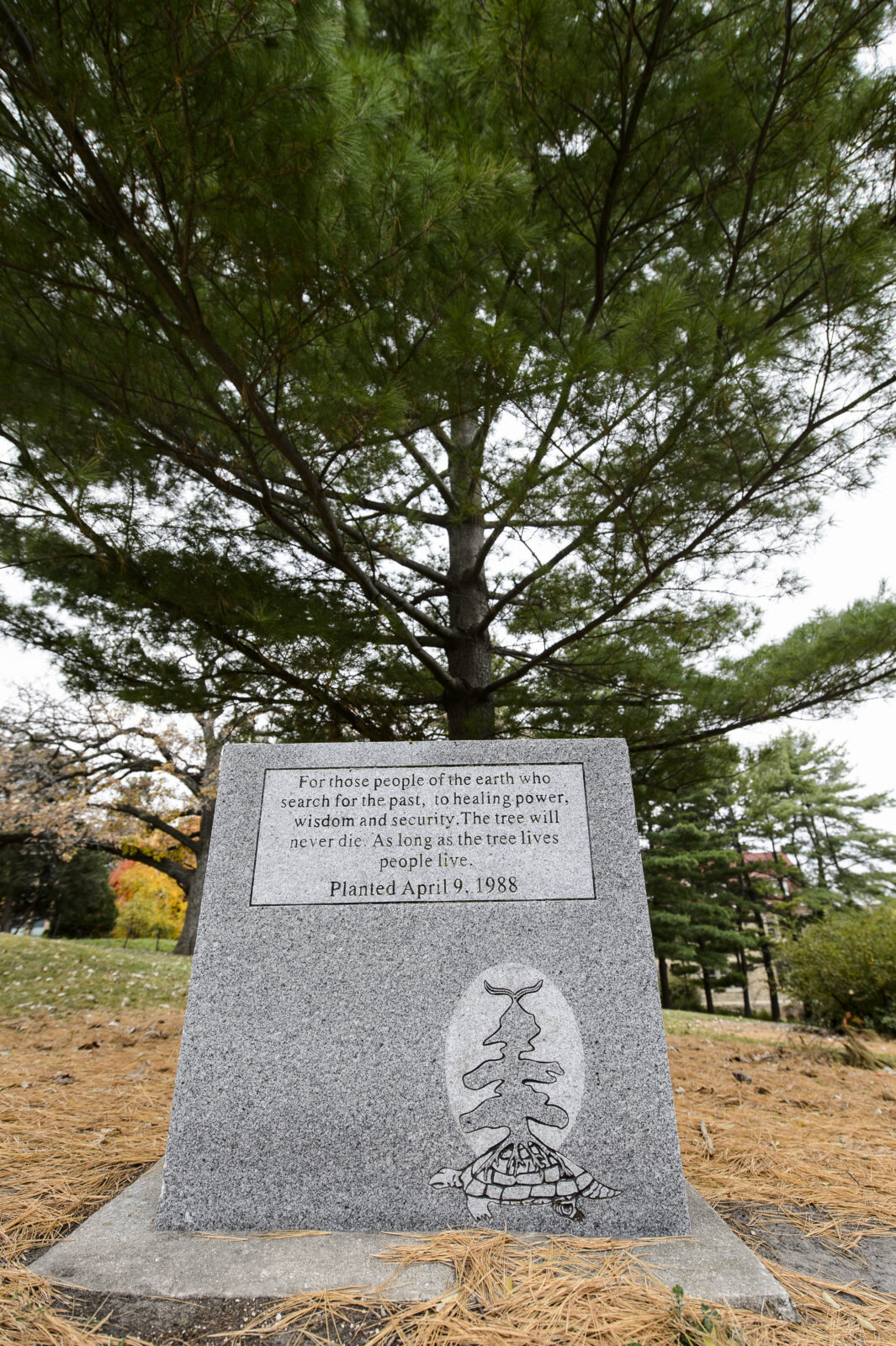 Another angle of the Tree of Peace plaque
