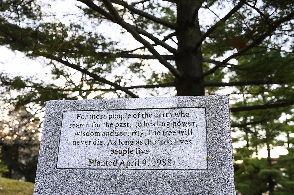 A zoom in on the stone plaque in front of the tree of peace